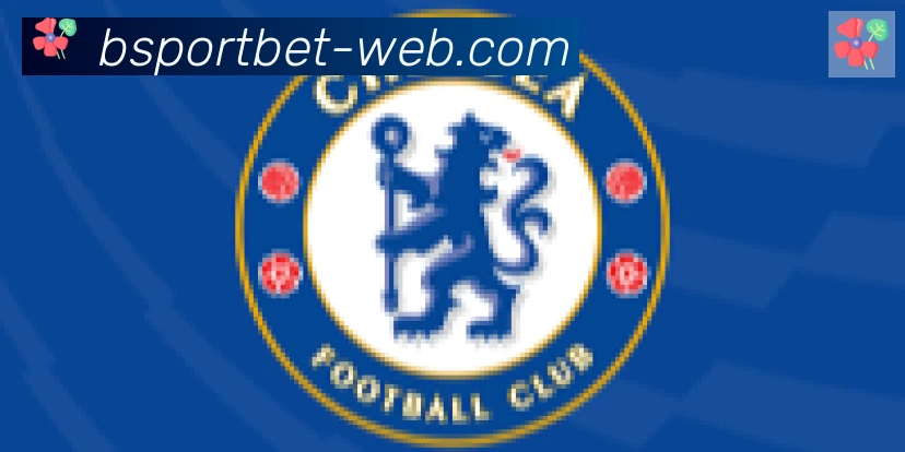 Bsports官网合作伙伴